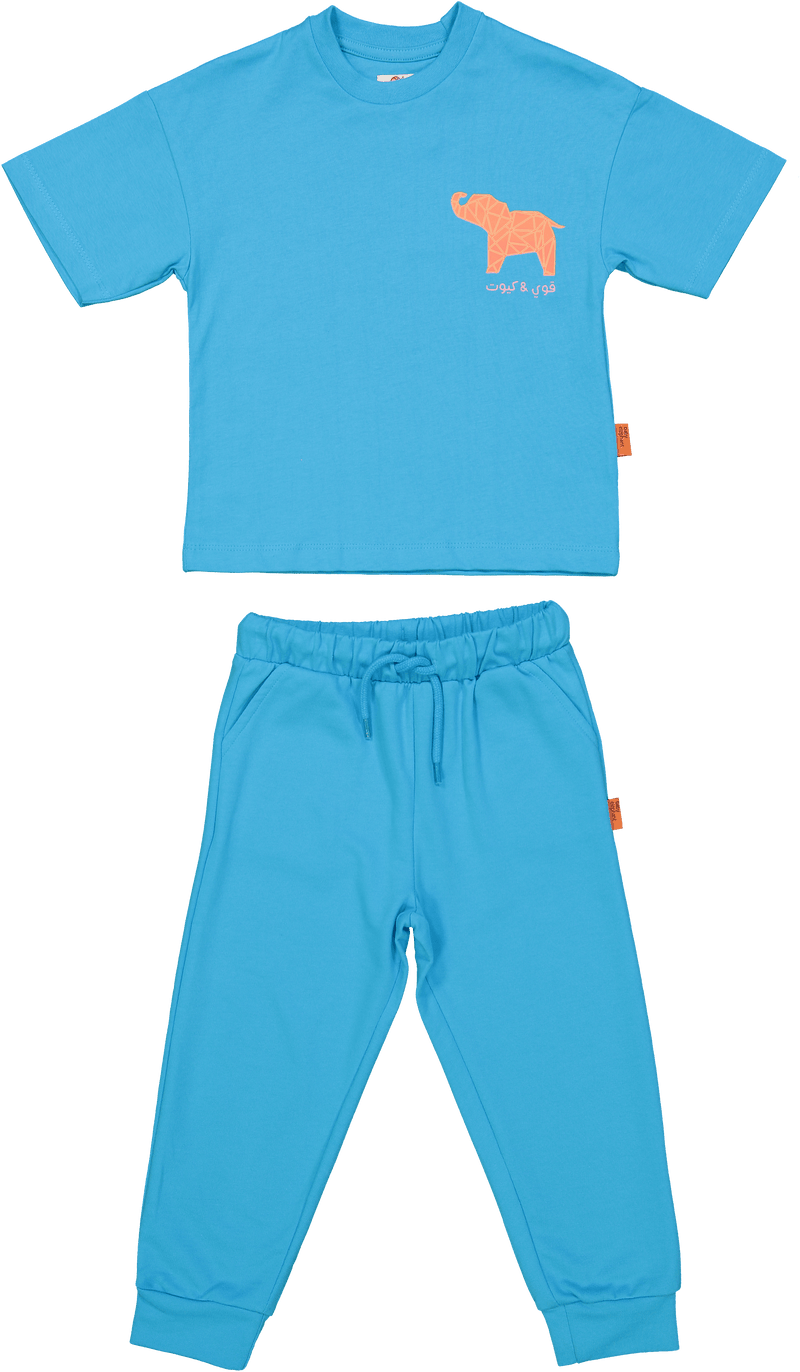 Origami Elephant | Strong and Cute Kids Set of T-Shirt and Pants