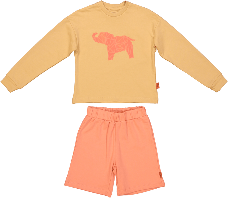 Origami Elephant Kids Set of Sweatshirt and Shorts