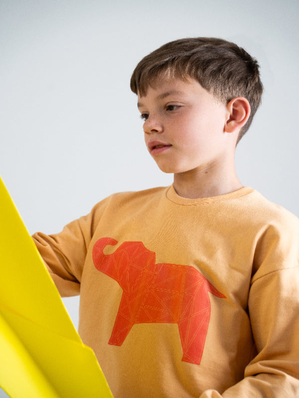 Origami Elephant Kids Set of Sweatshirt and Shorts